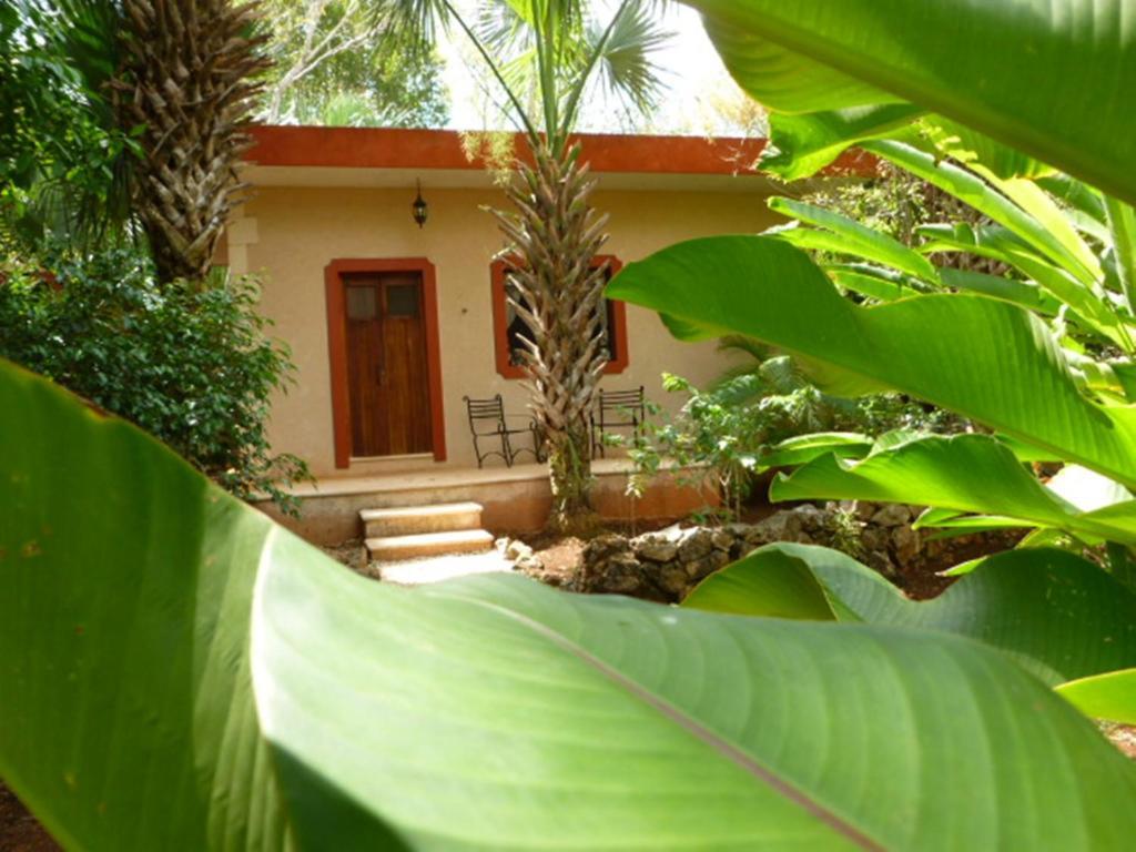 The Flycatcher Inn Retreat Hotel Santa Elena Exterior photo