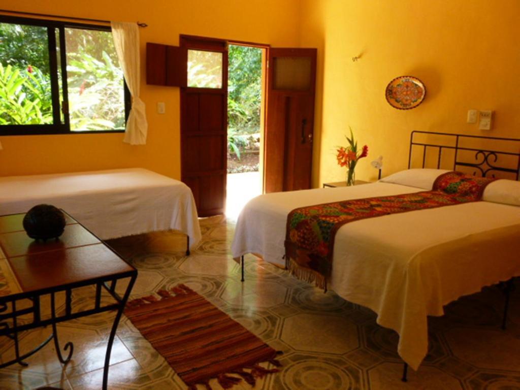 The Flycatcher Inn Retreat Hotel Santa Elena Room photo